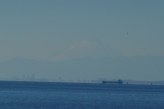 DSC09165.jpg
