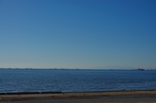 DSC09169.jpg