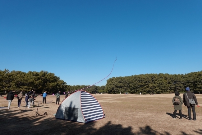 DSC09189.jpg