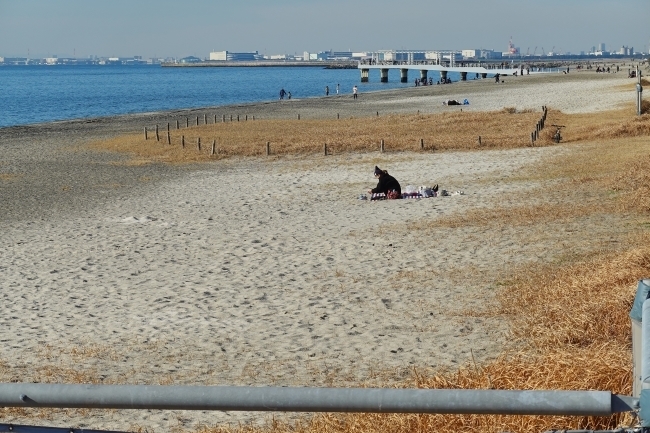DSC09195.jpg