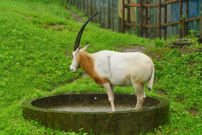 DSC09234+1.JPG