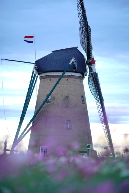 DSC09275.JPG