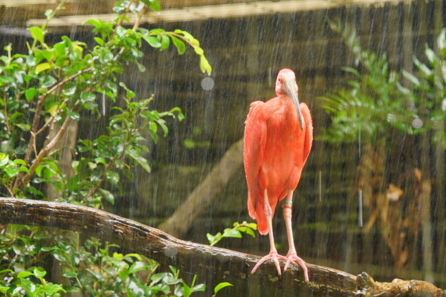 DSC09282+1.JPG