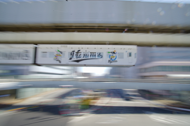 DSC09333+1.JPG