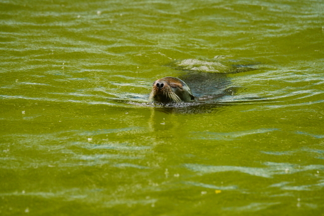 DSC09387+1.JPG