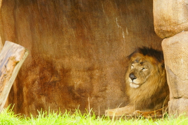 DSC09533+1.JPG