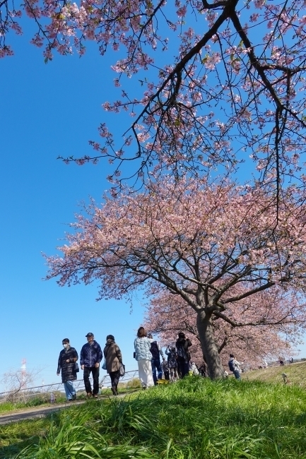 DSC09602.jpg