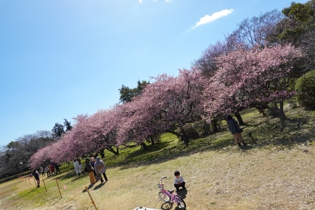 DSC09610.jpg