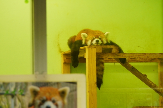 DSC09614+1.JPG