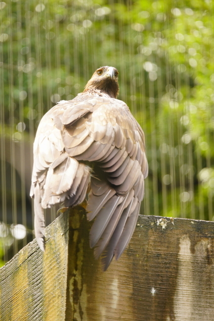 DSC09712+1.JPG