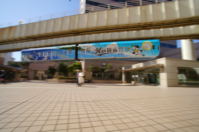 DSC09728+1.JPG