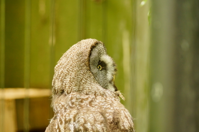 DSC09732+1.JPG