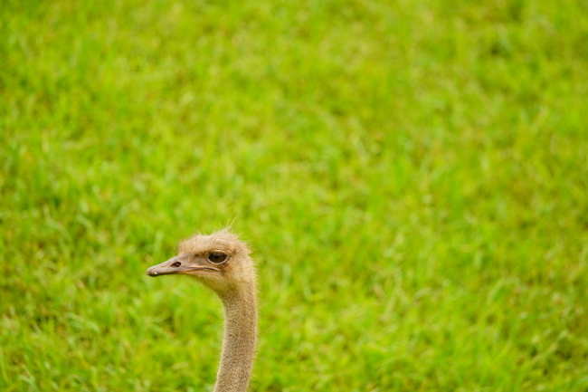 DSC09750+1.JPG