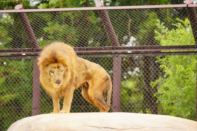 DSC09770+1.JPG
