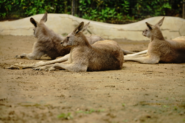 DSC09822.JPG