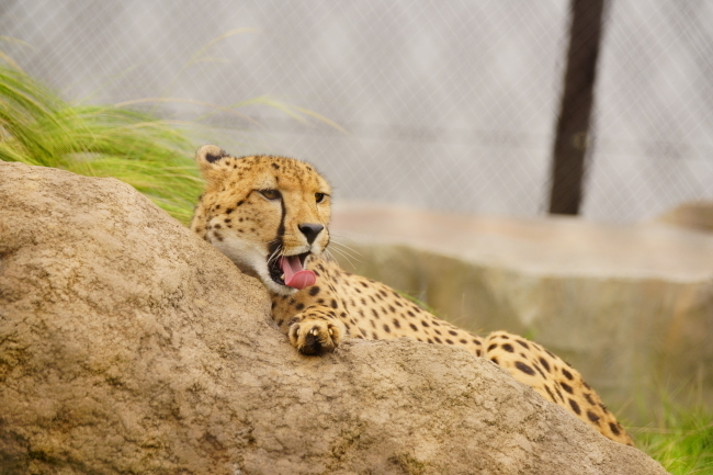 DSC09822+1.JPG