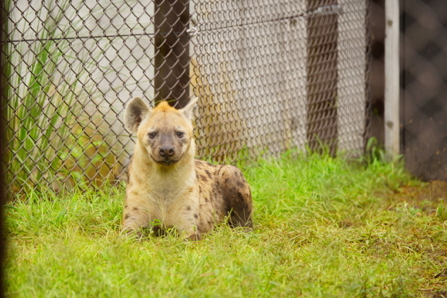 DSC09839+1.JPG