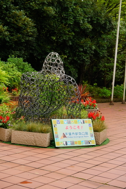 DSC09847+1.JPG