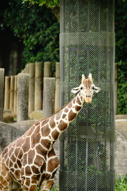 DSC09854.JPG