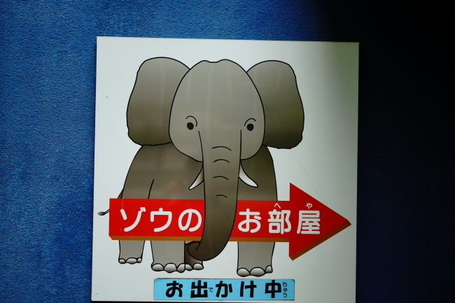 DSC09881.JPG