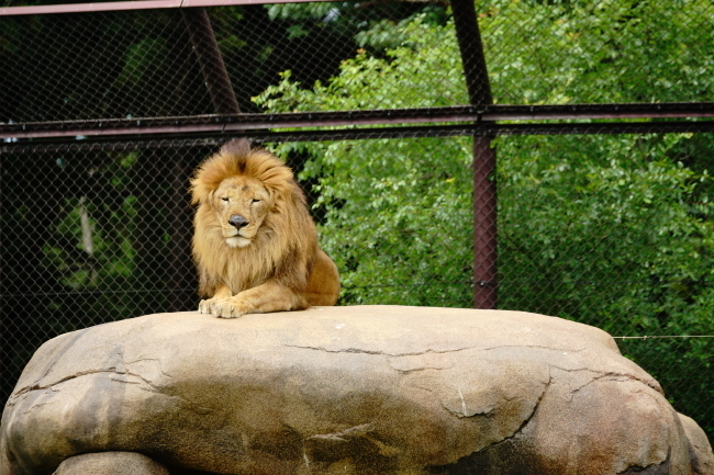 DSC09886.JPG