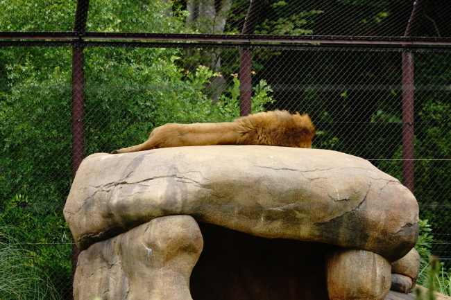 DSC09890.JPG