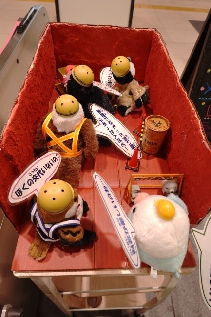 DSC09901.JPG
