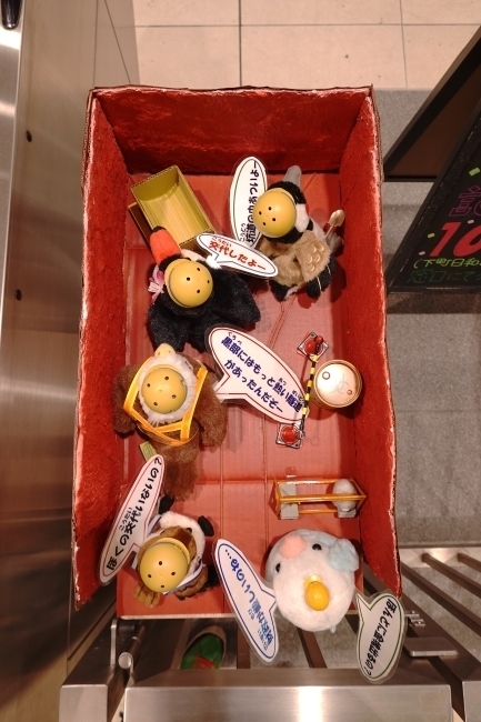 DSC09902.JPG