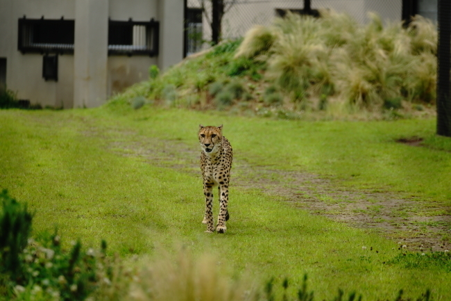DSC09982.JPG